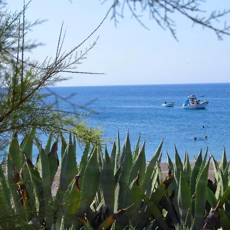 Sea